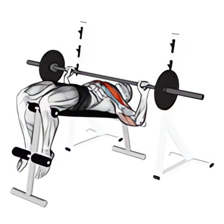 barbell decline wide-grip press