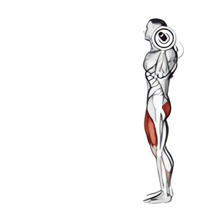 barbell lunge