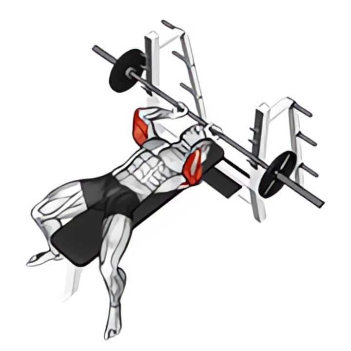 barbell lying extension