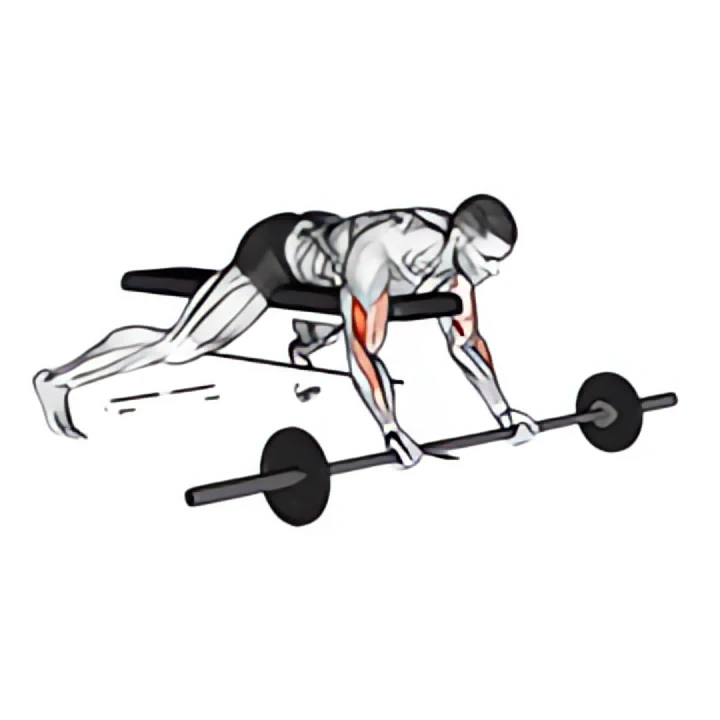 barbell lying preacher curl