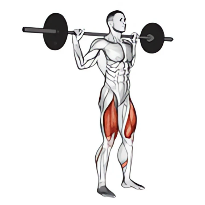 barbell narrow stance squat