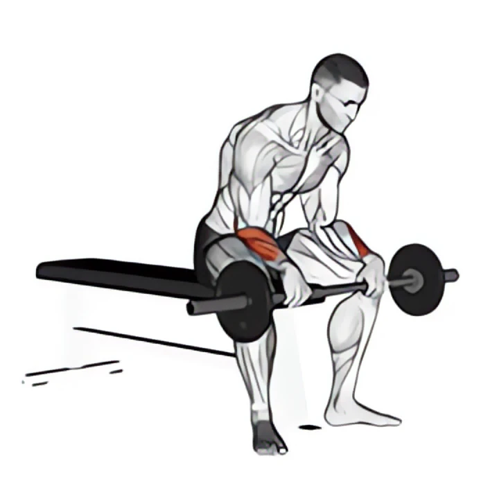 barbell revers wrist curl v. 2