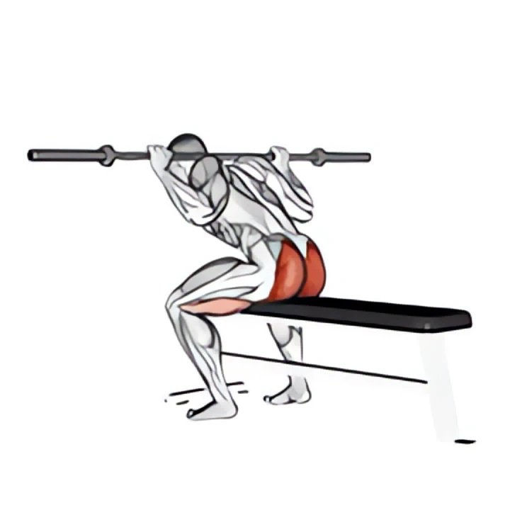 barbell seated good morning