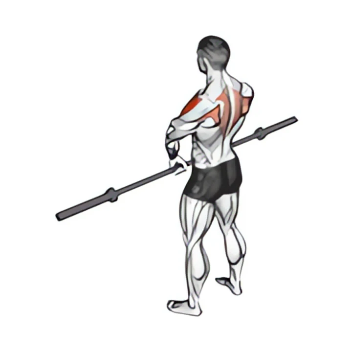 barbell upright row v. 3