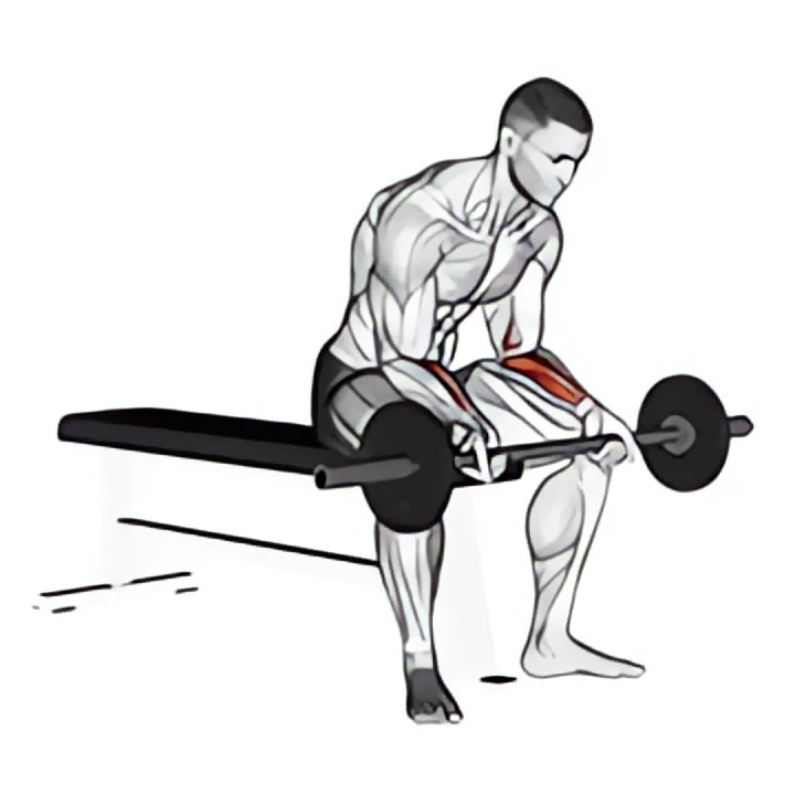 barbell wrist curl v. 2