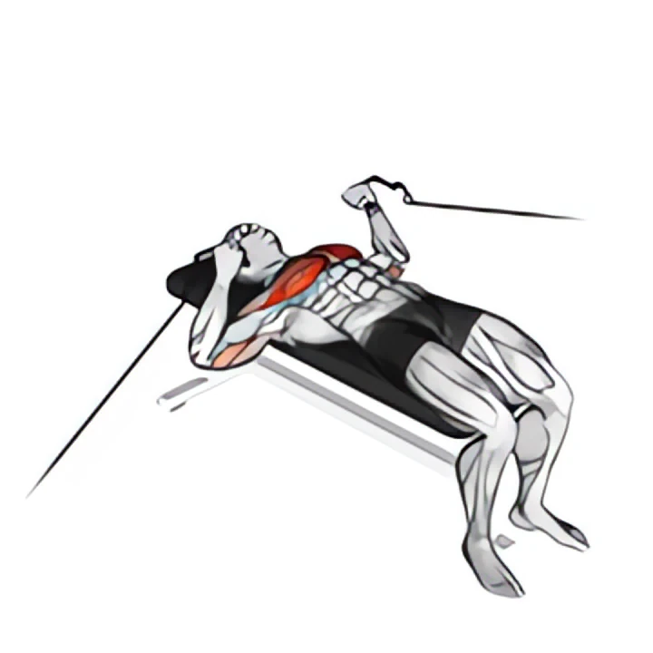 cable bench press