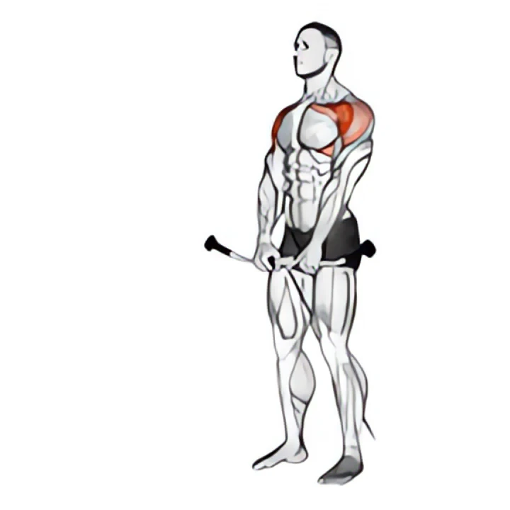 cable front raise