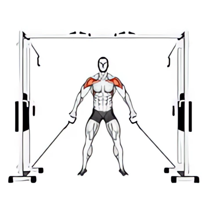cable front shoulder raise