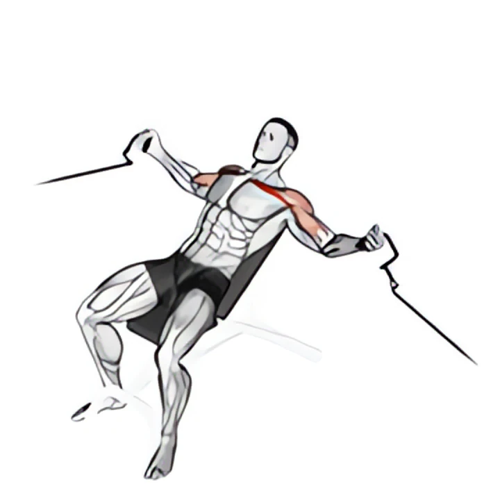 cable incline fly