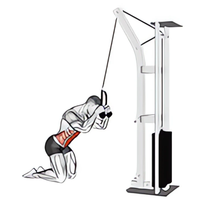 cable kneeling crunch