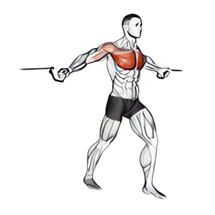 cable middle fly