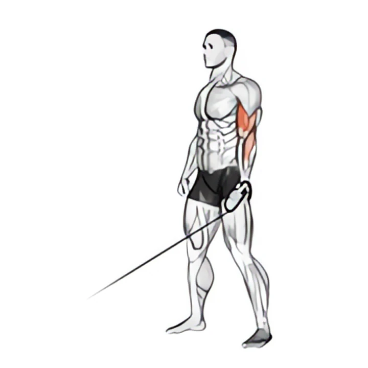 cable one arm curl