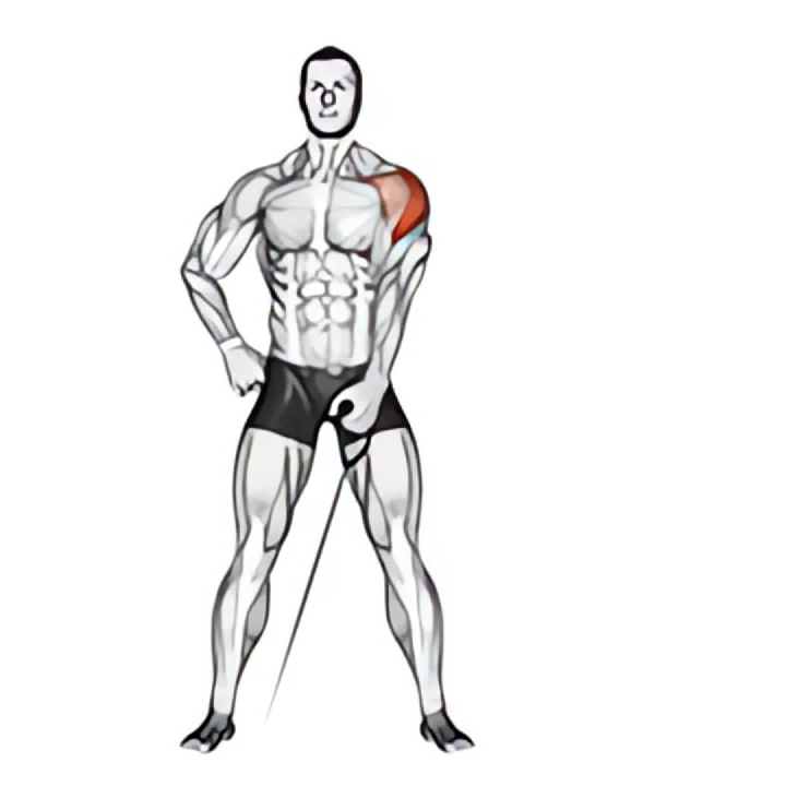 cable one arm lateral raise