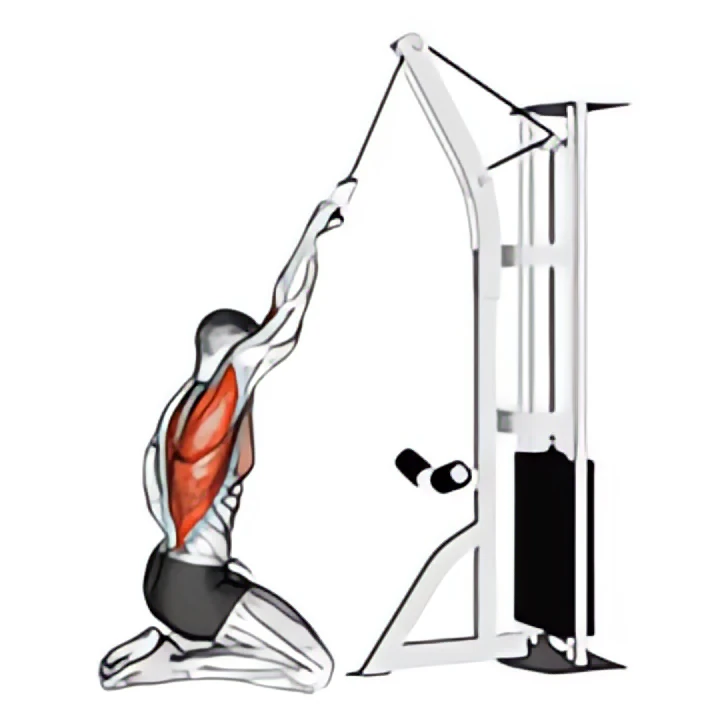 cable one arm straight back high row (kneeling)