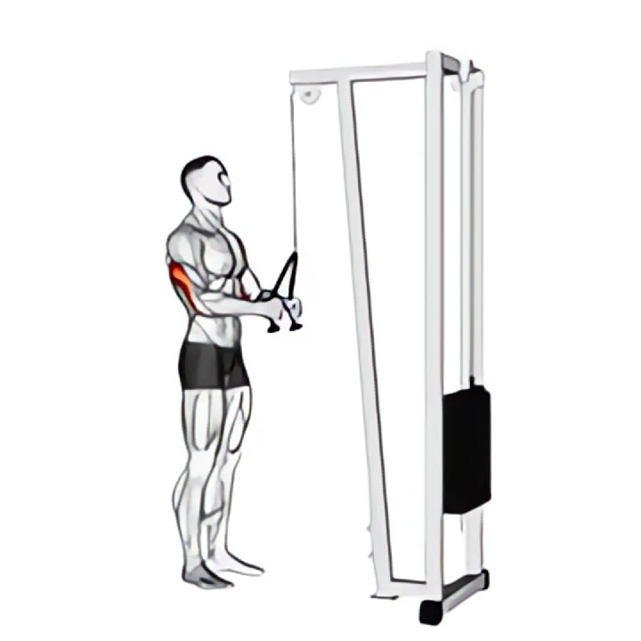 cable pushdown (with rope attachment)