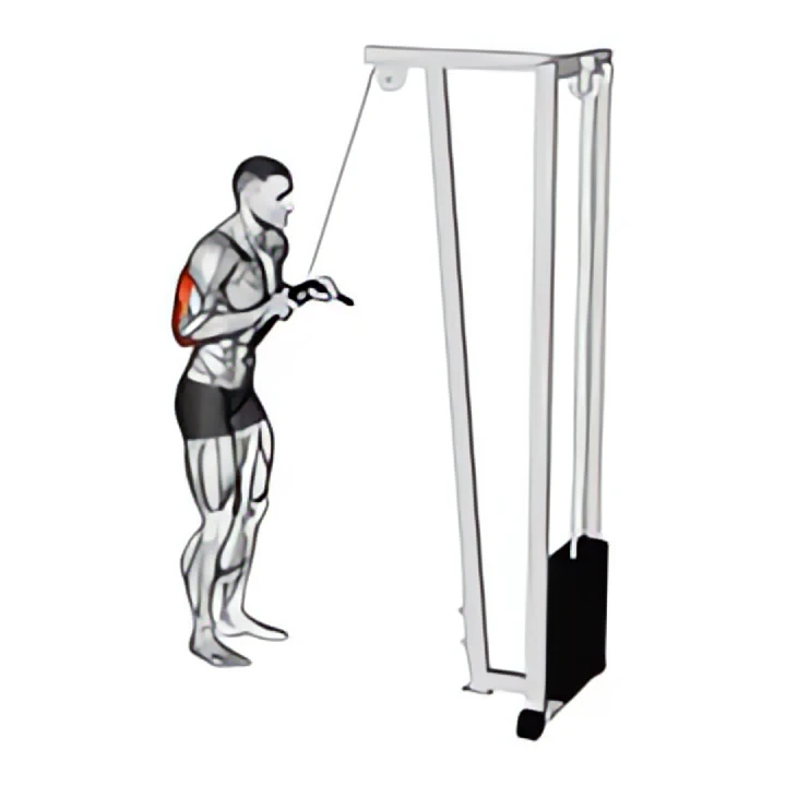 cable pushdown