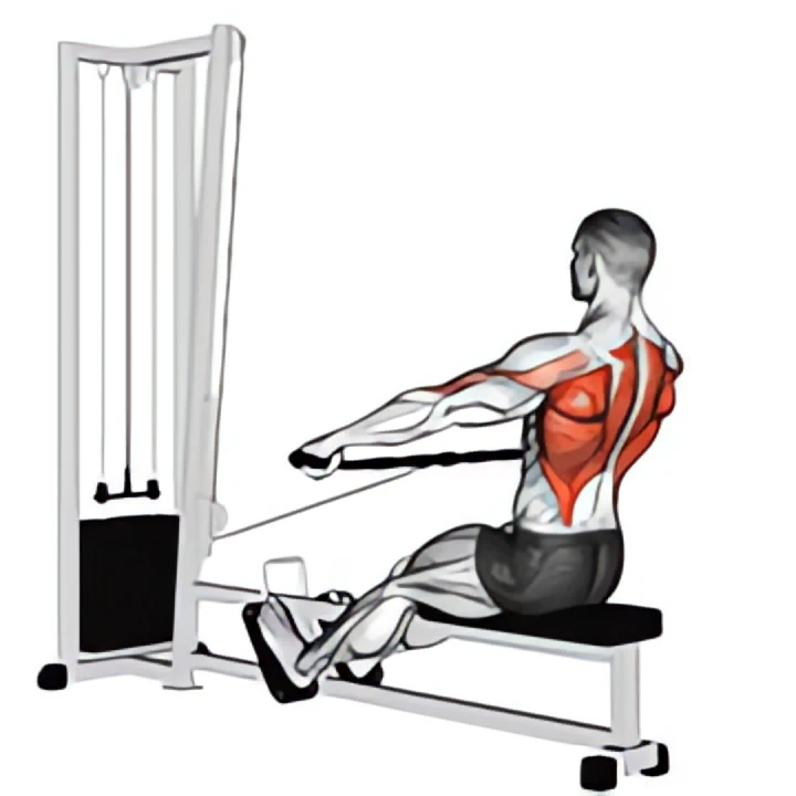 cable seated wide-grip row