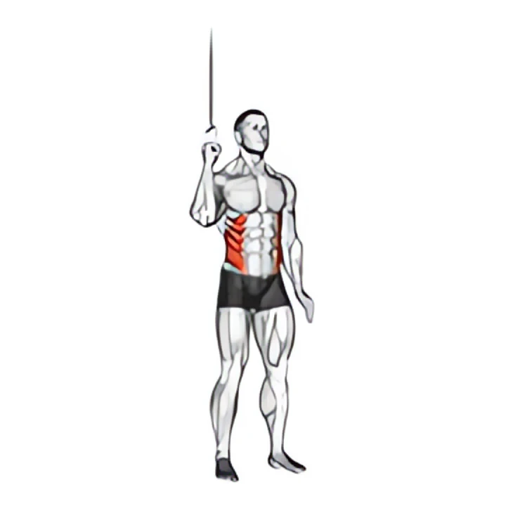 cable side crunch