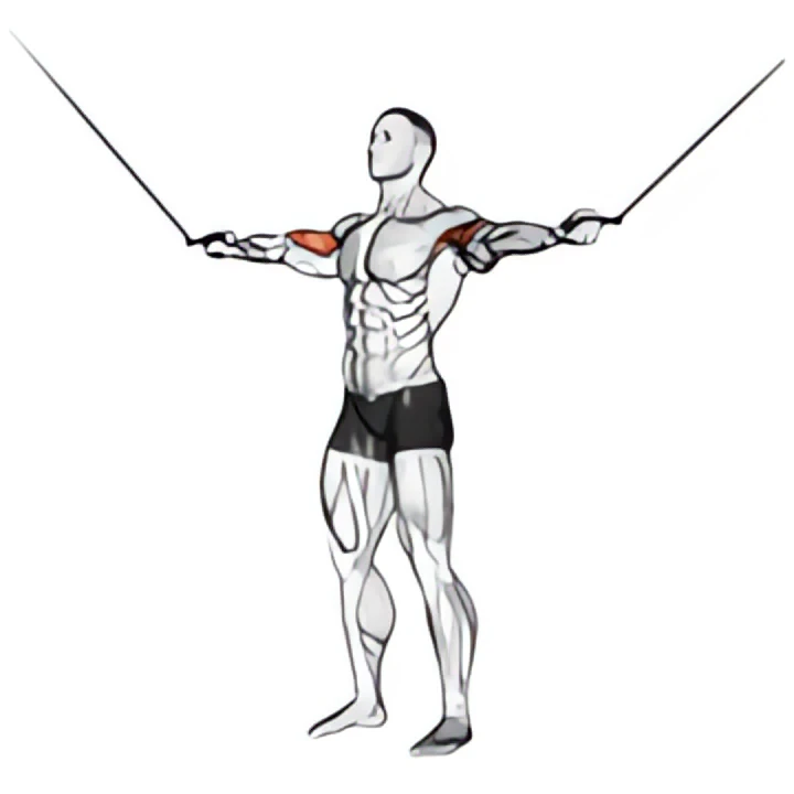 cable standing inner curl