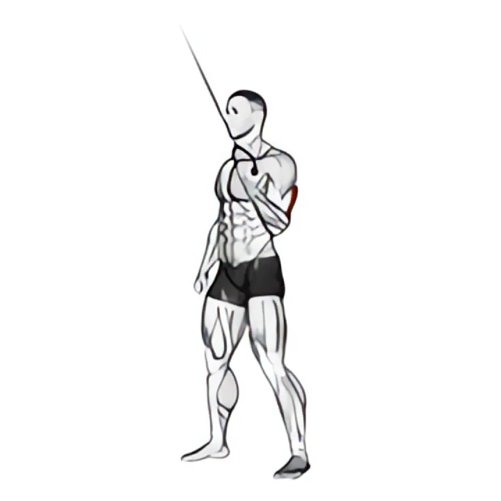 cable standing one arm triceps extension