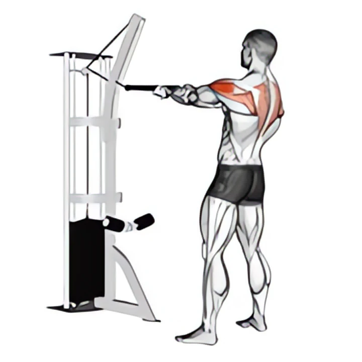 cable standing rear delt row (with rope)