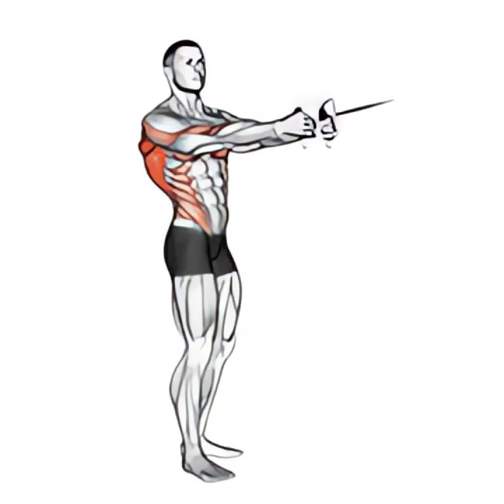 cable standing twist row (v-bar)