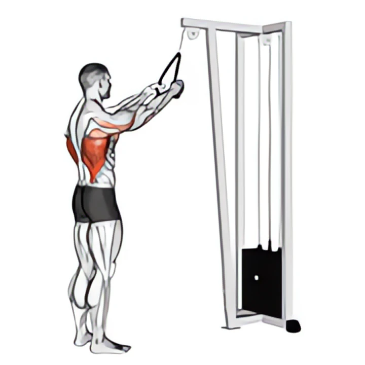 cable straight arm pulldown (with rope)