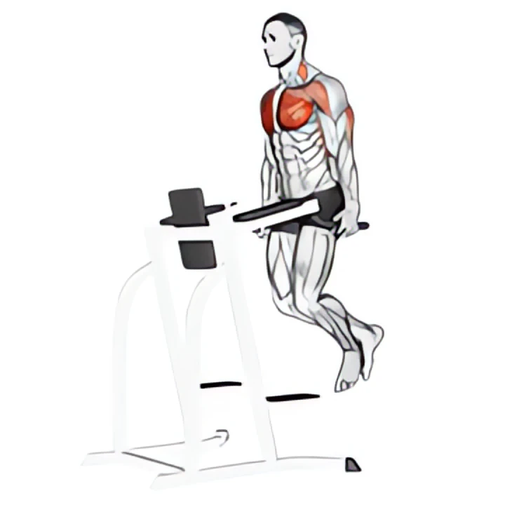 chest dip