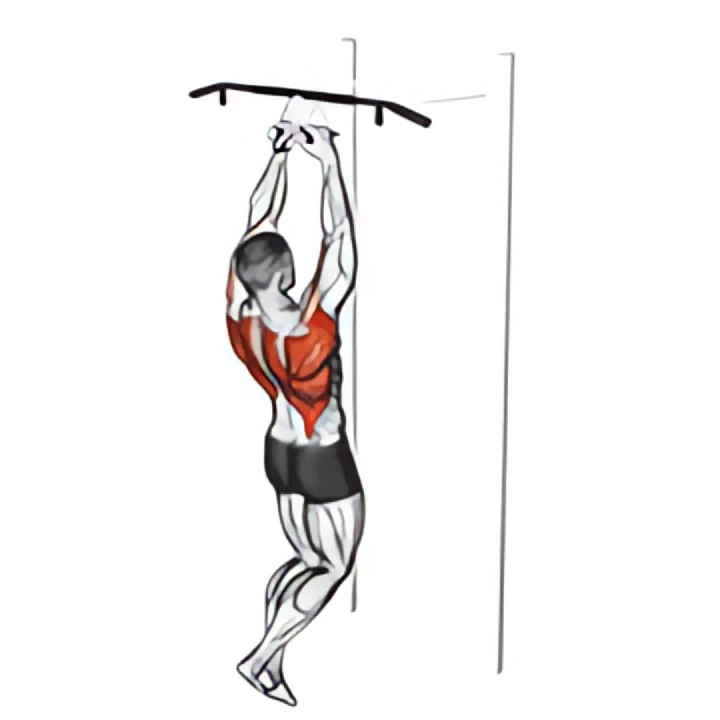 chin-ups (narrow parallel grip)