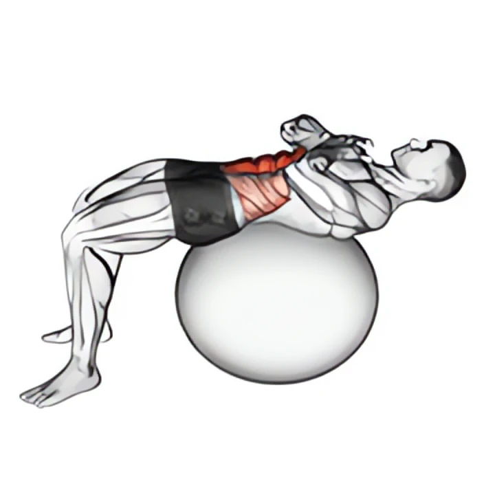 crunch (on stability ball)
