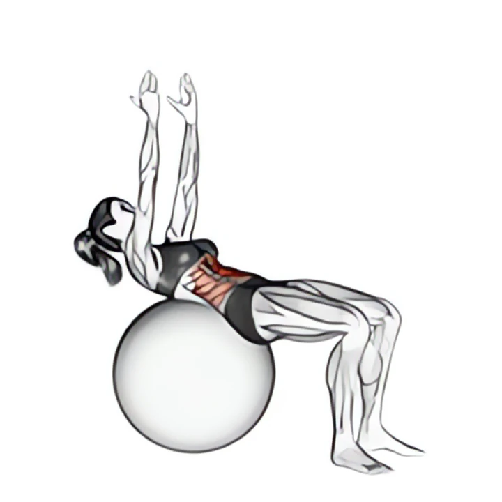 crunch (on stability ball, arms straight)