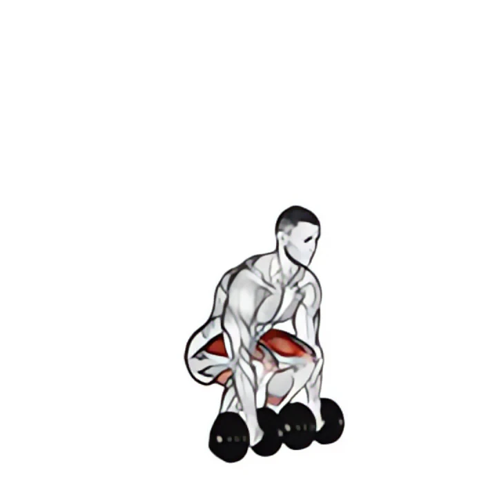 dumbbell deadlift