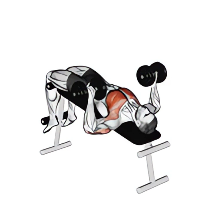 dumbbell decline bench press