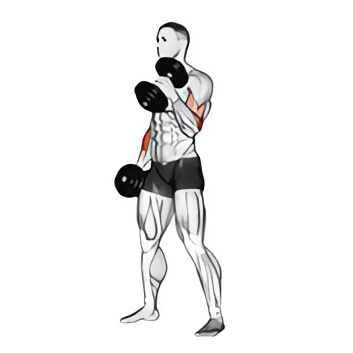 dumbbell hammer curl
