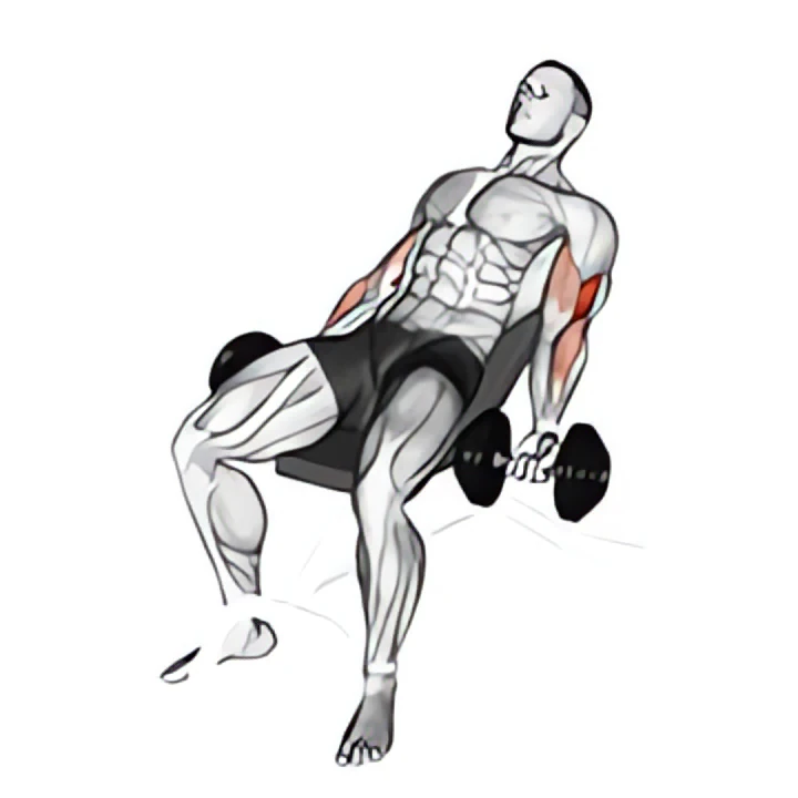 dumbbell incline curl v. 2