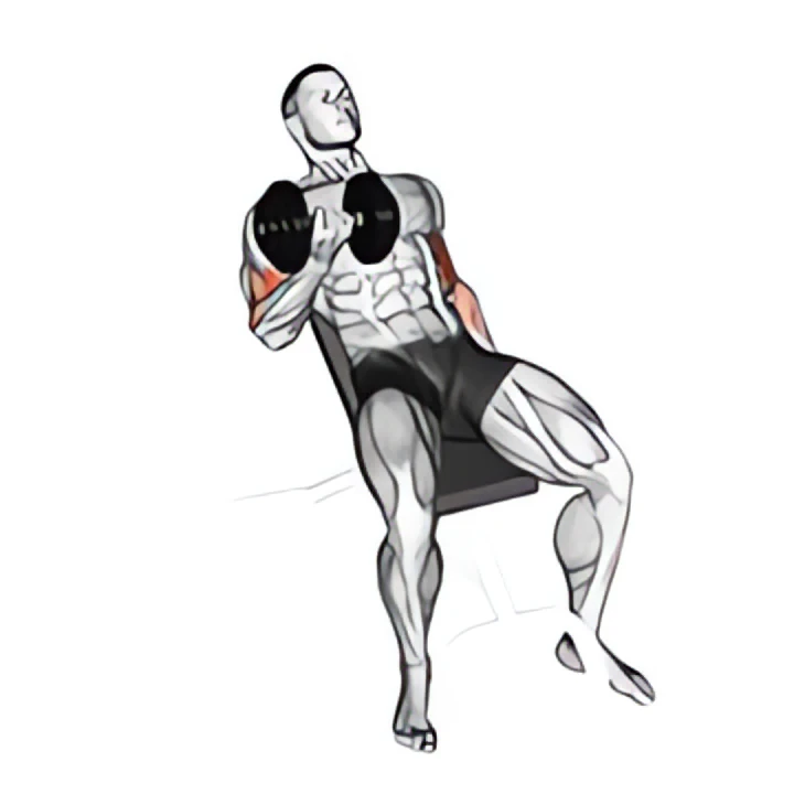 dumbbell incline curl