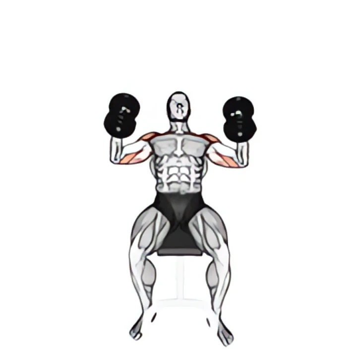 dumbbell incline hammer press