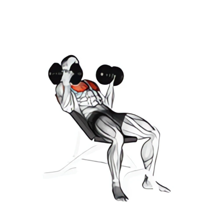 dumbbell incline palm-in press