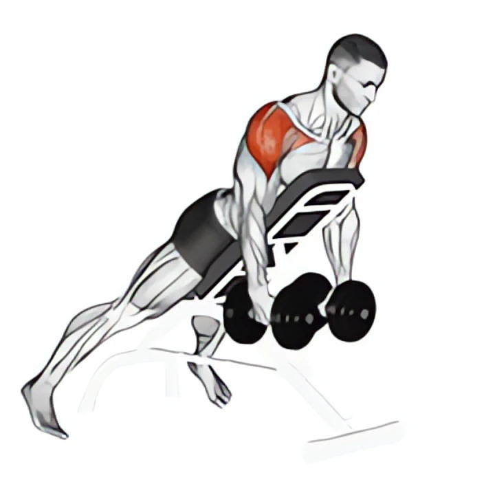 dumbbell incline rear lateral raise