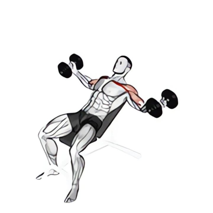 dumbbell incline twisted flyes