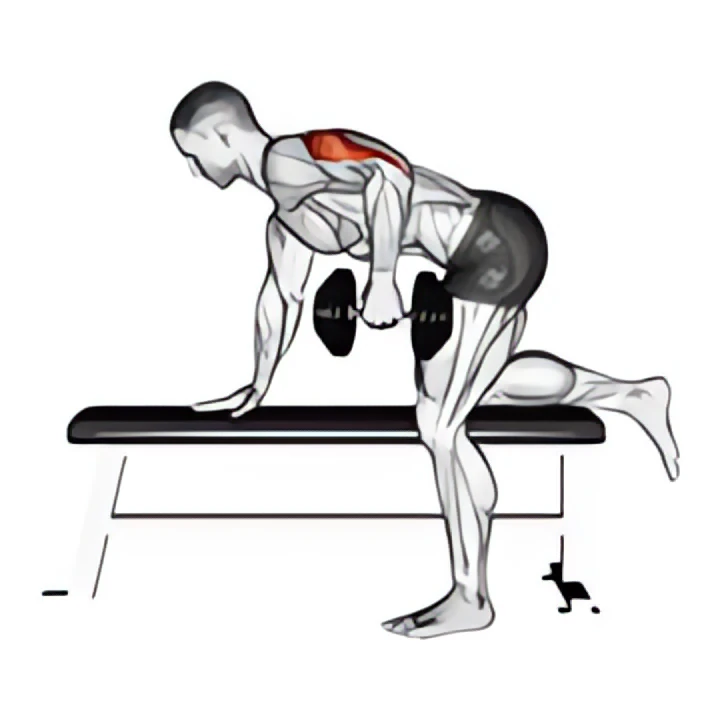 dumbbell kickback