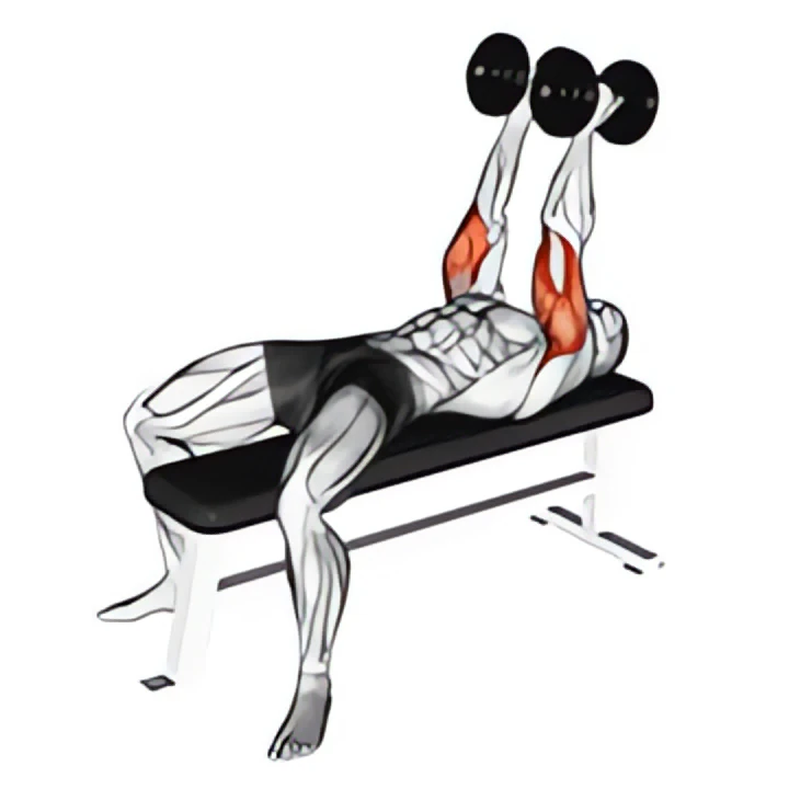dumbbell neutral grip bench press
