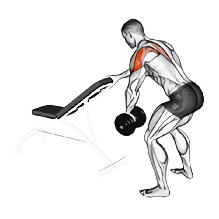 dumbbell one arm reverse fly (with support)