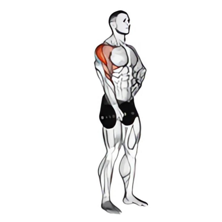 dumbbell one arm upright row