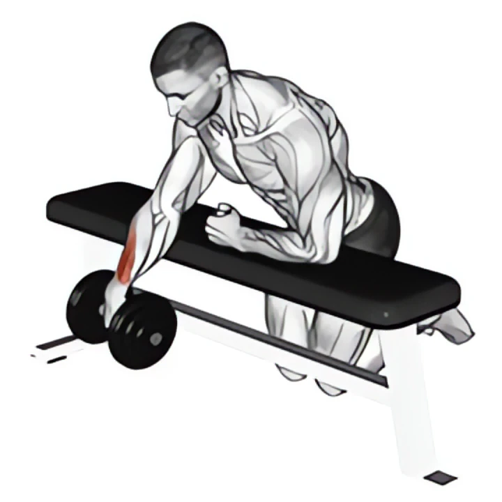 dumbbell over bench one arm wrist curl