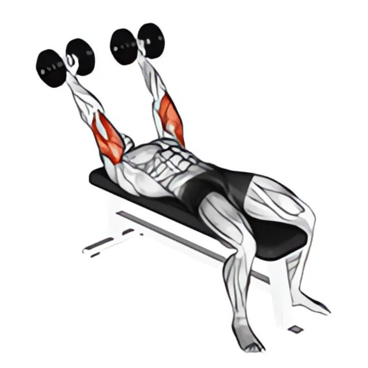 dumbbell pronate-grip triceps extension
