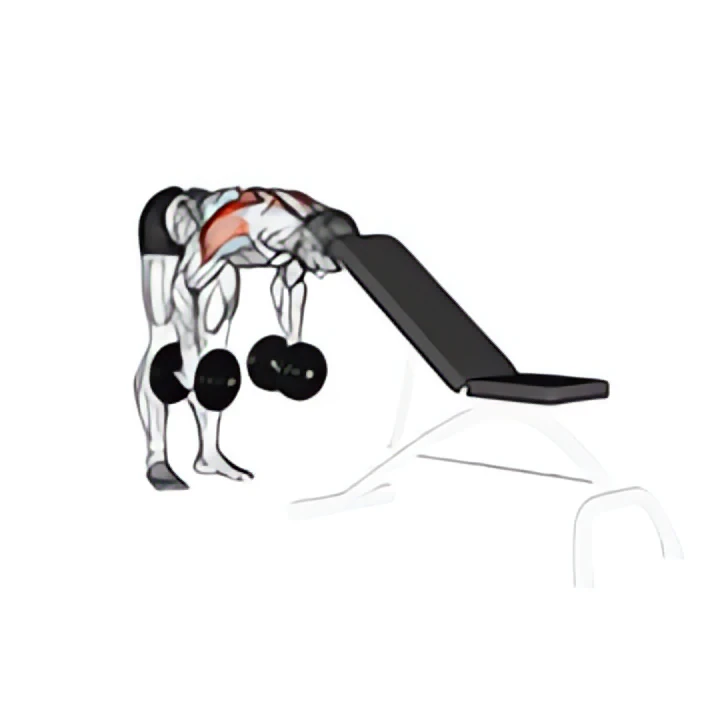 dumbbell rear lateral raise (support head)