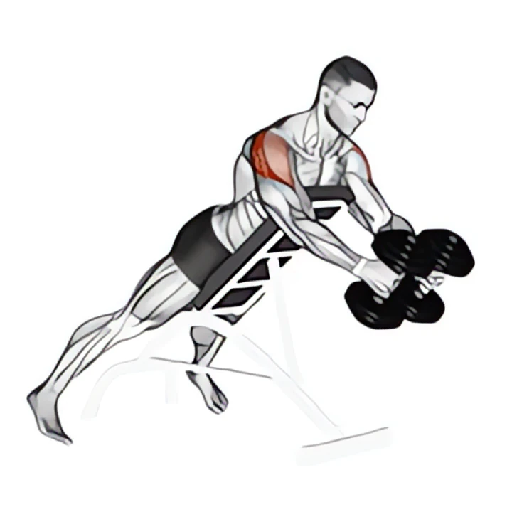 dumbbell reverse fly
