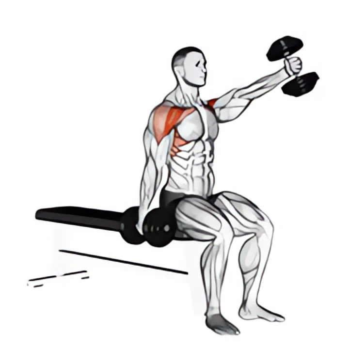 dumbbell seated alternate front raise