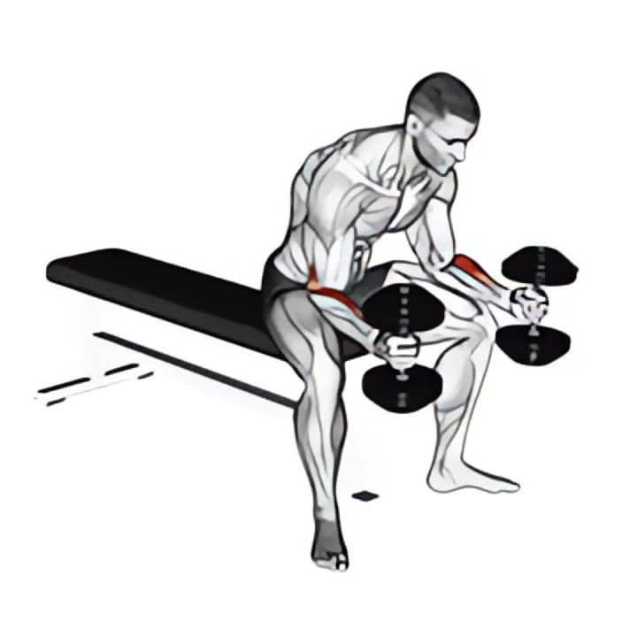 dumbbell seated neutral wrist curl